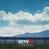【国家重大工程公益传播广告】青藏铁路——雪域高原幸福之路