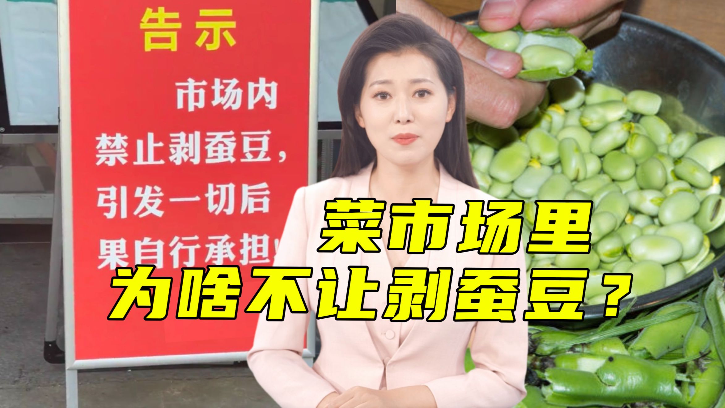 菜市场内为啥不让剥蚕豆？剧透：和蚕豆病无关【主播说三农】