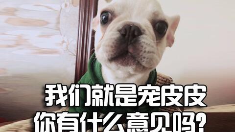 4c52dd5636678778c6e2f670ac794570c7e61673.jpg@480w_270h_1c