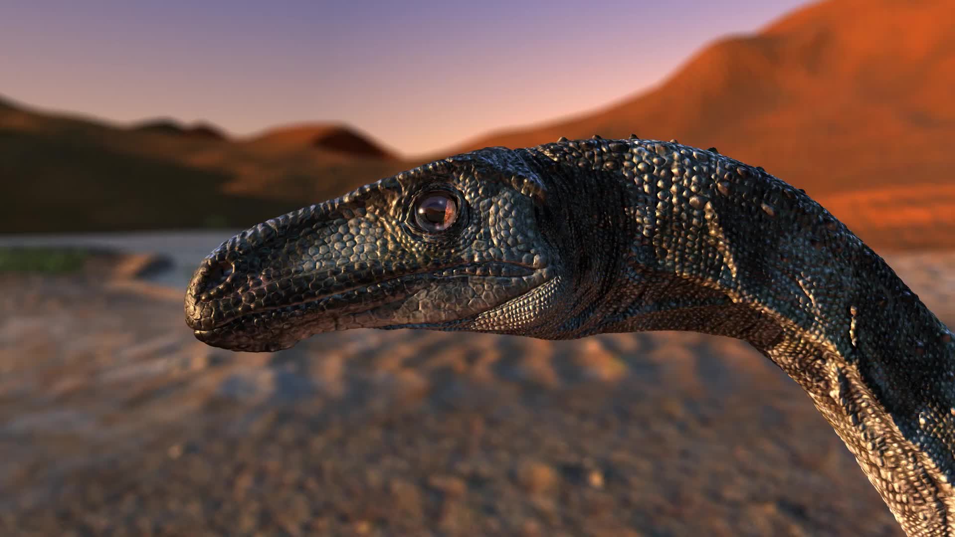 Vespersaurus paranaensis_哔哩哔哩_bilibili