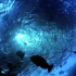 高清海底世界，4k画质影视修复