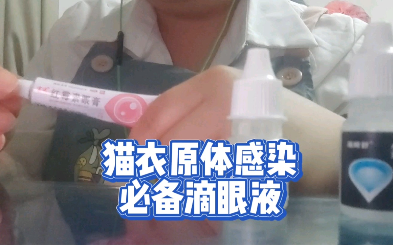 猫衣原体感染必备的三款滴眼液