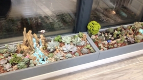 多肉小视频搞笑 4c6f657cf8fa3a4ea2bb47ae01a9a458b868293d.jpg@280w_158h_1c_100q.jpg