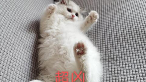 4c7060db51b5c81207bb360360e7a7b46320dce9.jpg@480w_270h_1c