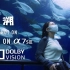 「深蓝时见你」杜比视界HDR·上海海洋水族馆VLOG | Feiyu Scorp F2