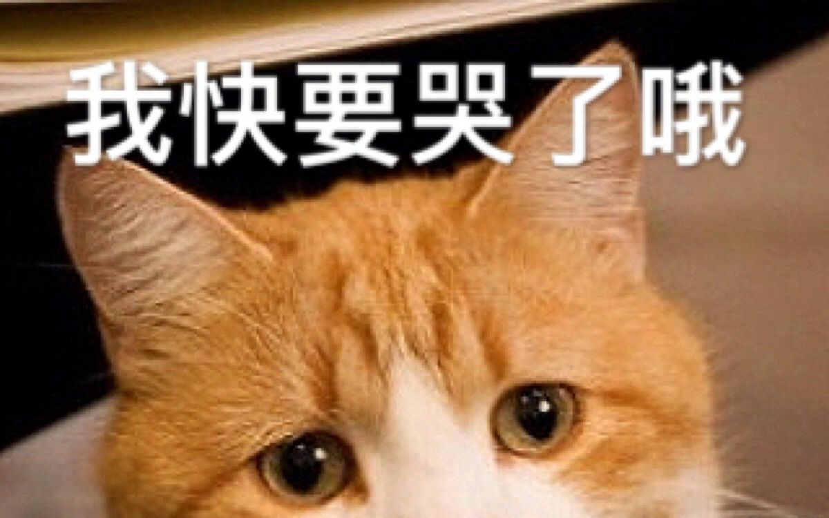 可爱喵星人卖萌表情包-在线图片