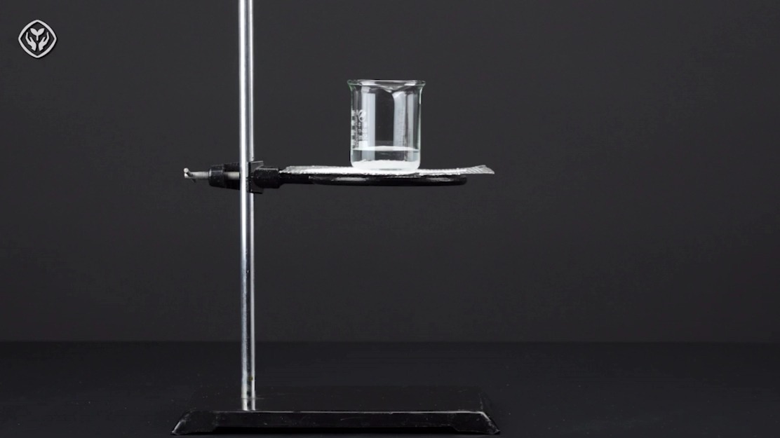 【人教版2024】9-6硝酸钾在水中的溶解（初中化学）