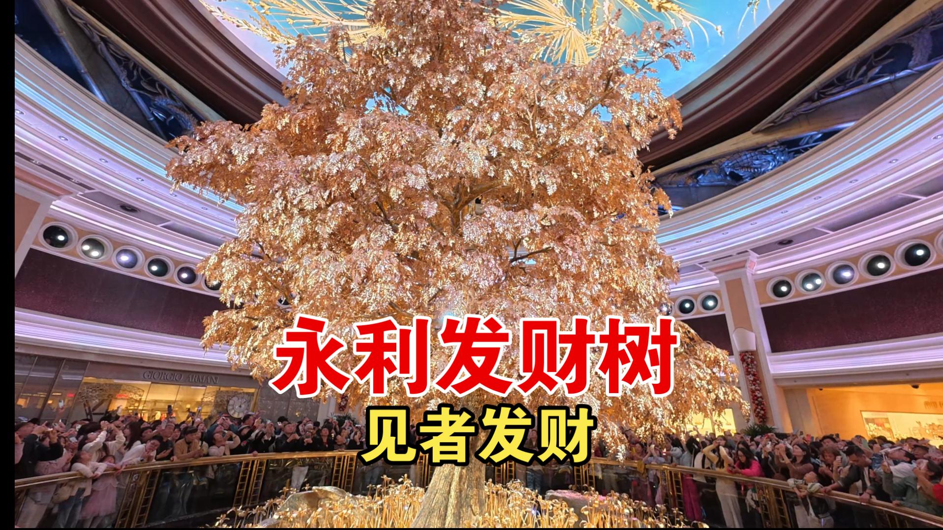 澳门永利皇宫发财树完整版表演
