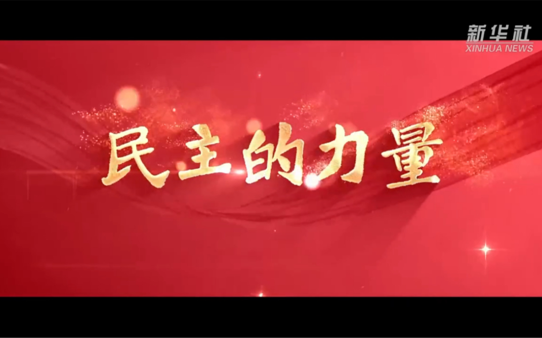 #视听看两会 微视频｜民主的力量（新华社）
