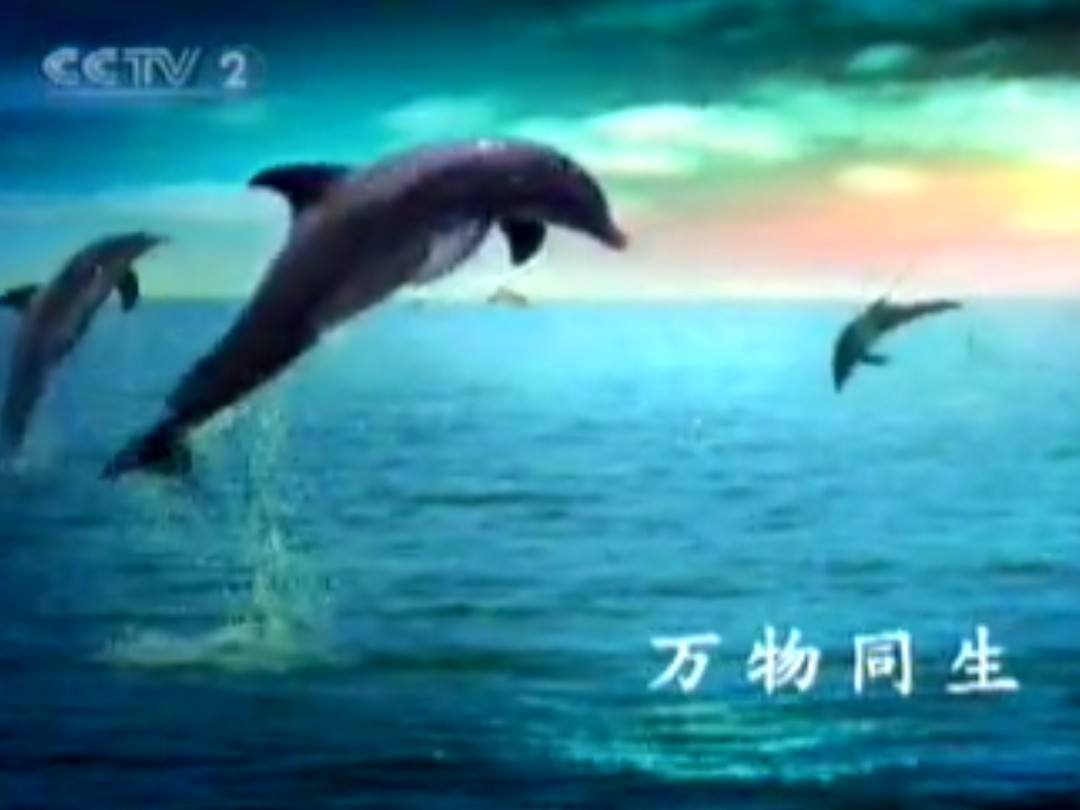 交通银行2008最新形象广告