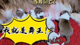 4cece81fc2a800afed1637a325ff928058f1fb12.jpg@280w_158h_1c_100q.jpg