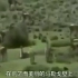 考古视频，马勒戈壁