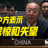 美国一票否决 中方：“他们根本不希望解决问题
