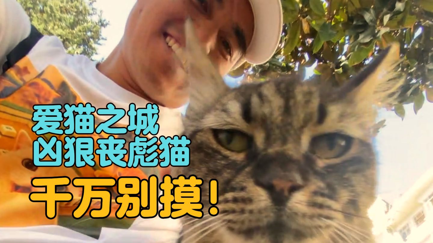 胳膊有点死了