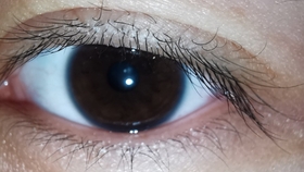 4d1e9958c9132400eb05769664054cf59eabb1fe.jpg@280w_158h_1c_100q.jpg