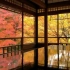【庭院】京都の庭  〈琉璃光院〉