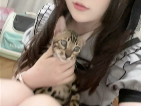 Hakimi Ding Dong Chicken Fat Baby Stomp Back