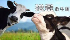 多少级可以开牧场 4d5ffdb2fd74c03cfeeb0bd0e537f7e1409710f8.jpg@280w_158h_1c_100q.jpg