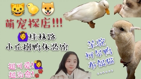 4d7755d9703b5588d789beb363cbeeda1bfb342e.jpg@280w_158h_1c_100q.jpg