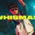 【中字】2019年度惠斯勒山地车公园开放日官方MV- 《WHISMAS》