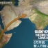 【中英】人类的迁徙（图解史前时代） +个人注释-Animated map shows how humans migrat