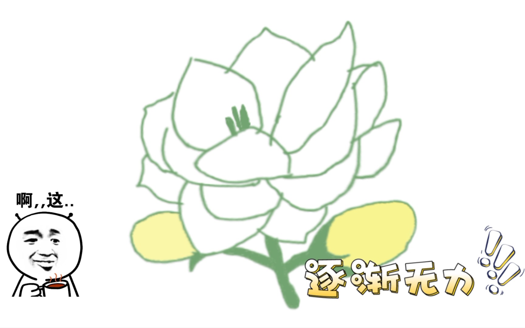 活动作品《茉莉花》