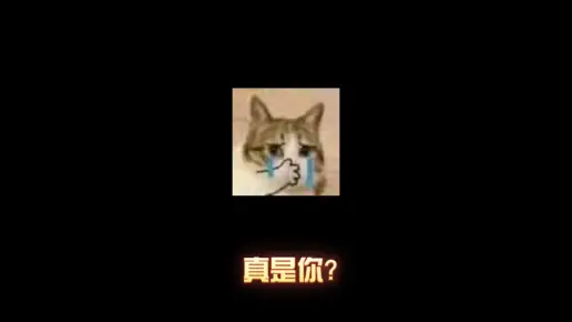 真是你？