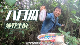 4dce37c9c1efd1af8c2ce7c0a91ae8b072145575.jpg@280w_158h_1c_100q.jpg