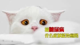 4dd73106feb94cffe64c225f4e17c7f8658a2322.jpg@280w_158h_1c_100q.jpg