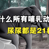 为什么尿尿都是21秒