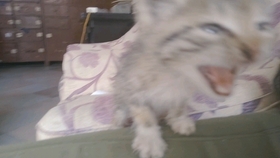 4dec433641c9be01e34aa4fcf6745ed4ef48cd08.jpg@280w_158h_1c_100q.jpg