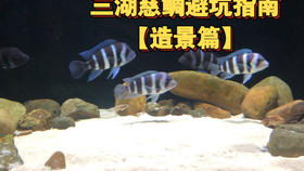 4df363875a20d4b9747be53e9c35bdc7fed2b44f.jpg@280w_158h_1c_100q.jpg