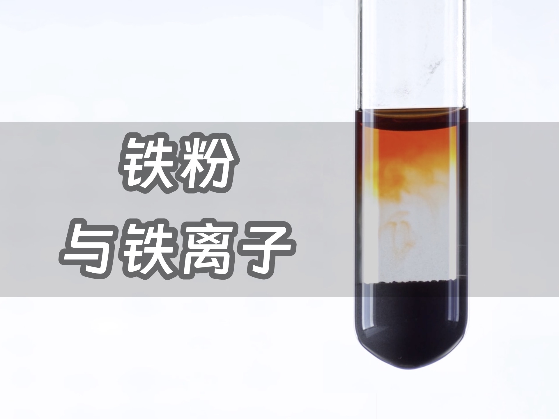 【铁粉与铁离子】“铁血”家族的华丽没落