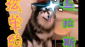 4e1b4a6d2f89c4a41a94afe6a2d37f5659a23e2b.jpg@280w_158h_1c_100q.jpg
