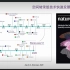 分子医学高峰论坛-徐讯教授-癌症的时空组学研究