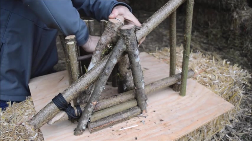 木棍和绳子制作的臭鼬(及黄鼠狼)陷阱,容易上手但相当