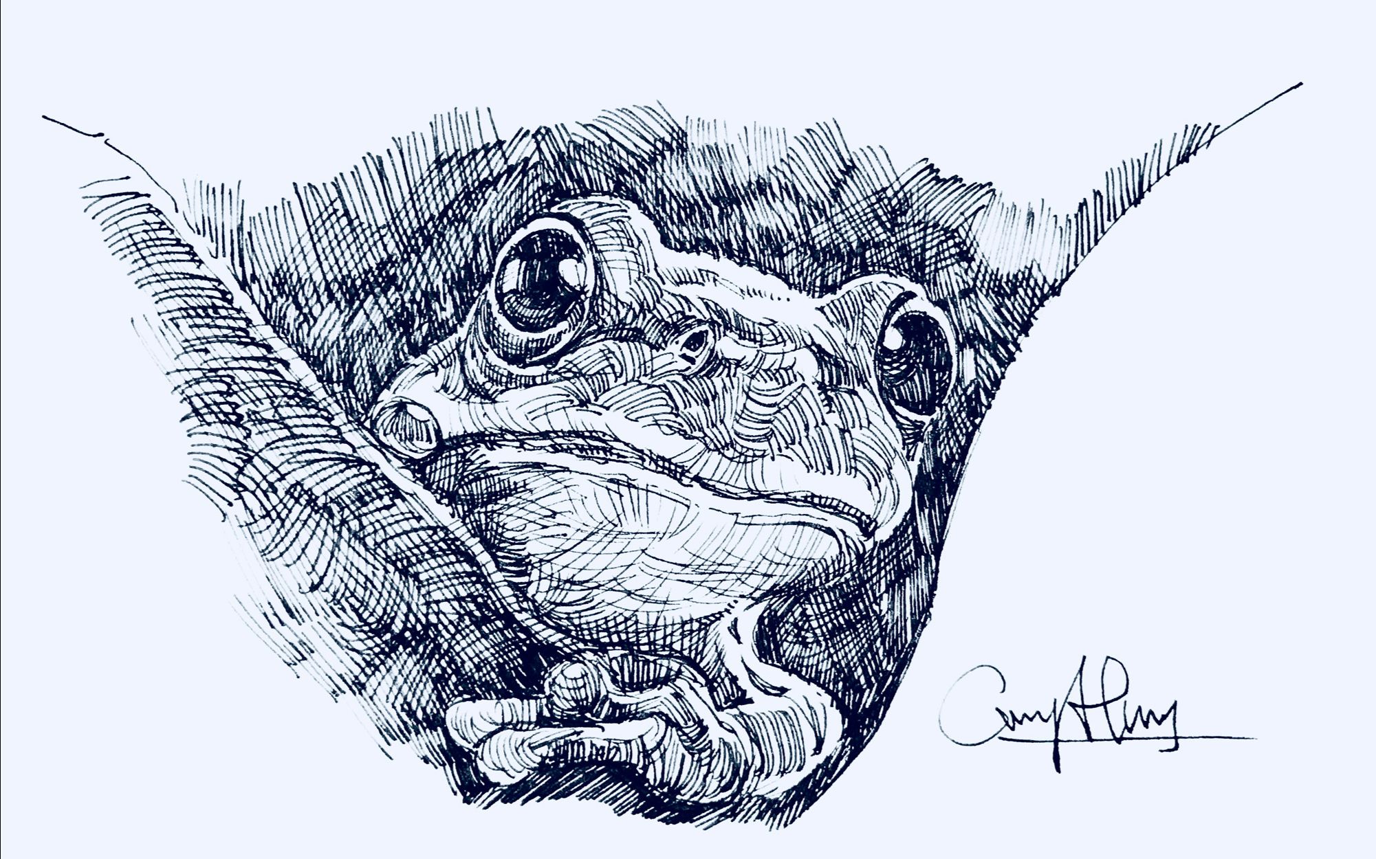 4e5ba414aaf30b83c001f6cb942f26e2f8a5b8ba.jpg