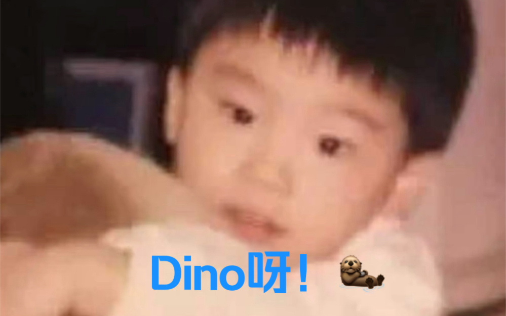 【李灿Dino】要做永远快乐的水獭宝宝