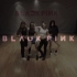 【BLACKPINK】BLACK PINK练习室+MV+舞台+一些综艺片段汇总（更新至181225SBS歌谣大战，一起跳