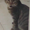 他在看我