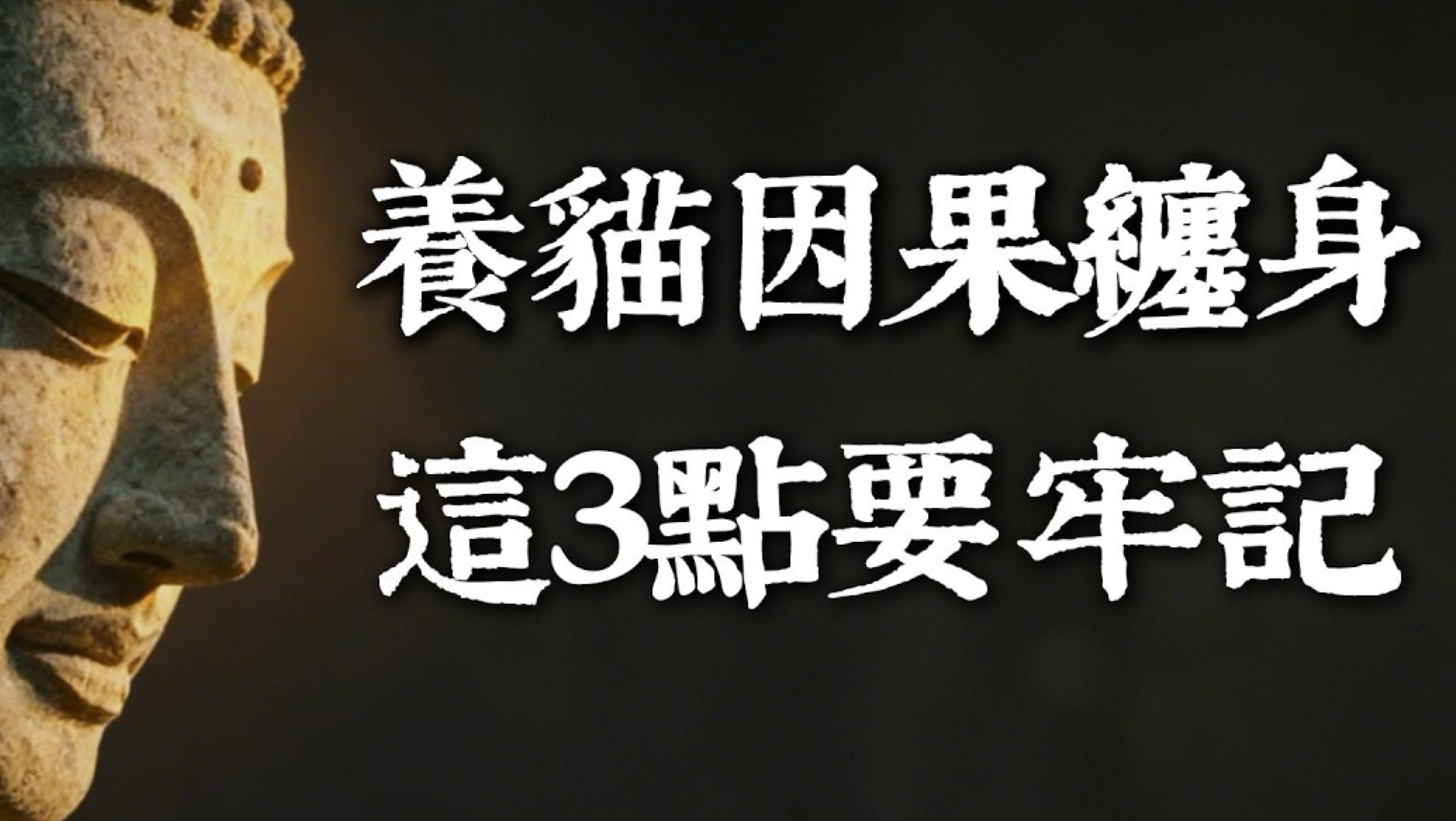 养猫真的会「因果缠身」吗？地藏王：只要守住这「3个底线」，养宠物就是最高级的修行！