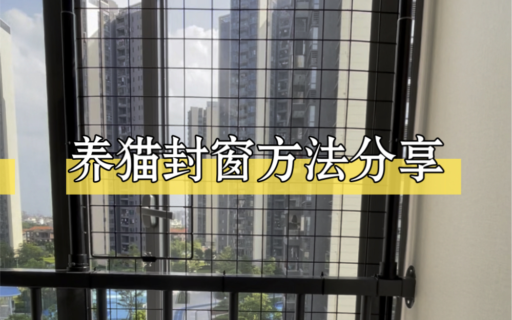 养猫封窗方法分享