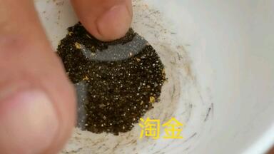 野外淘金：教你淘金探矿知识！或许你你家乡也有金矿哦