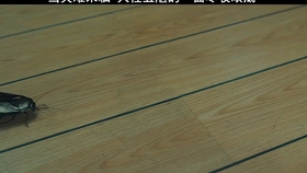 4f00e3bc9db59de29c45c15a6ae2df5acf460a2f.jpg@280w_158h_1c_100q.jpg