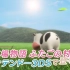【种田梨沙旁白】3DS『牧場物語 ふたごの村+』紹介映像