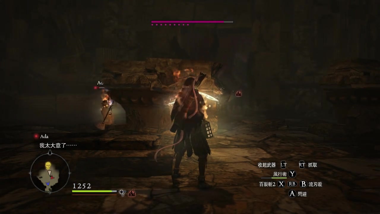 dragonsdogmadarkarisen红龙