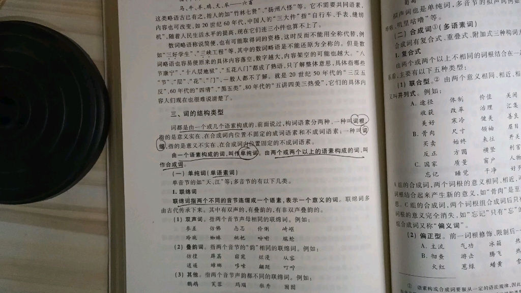 现代汉语 词的结构类型区分 详讲