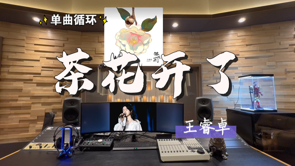 循环歌单｜在百万录音棚听 王睿卓《茶花开了》【单曲循环*7】