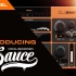 格莱美获奖者DJ Swivel The Sauce 多段人声特效和染色处理 音频效果器