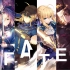 【Fate/高燃/全系列】让我们来讲述王的故事吧